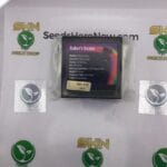 Baker's Dozen (Feminized) – Exotic Genetix | Vault Release