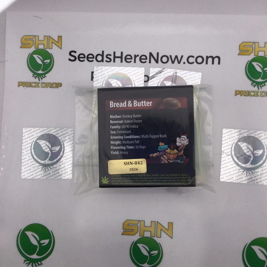 Bread & Butter (Feminized) – Exotic Genetix | Vault Release