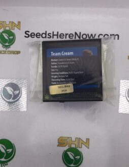 Team Cream (Regular) – Exotic Genetix | Vault Release