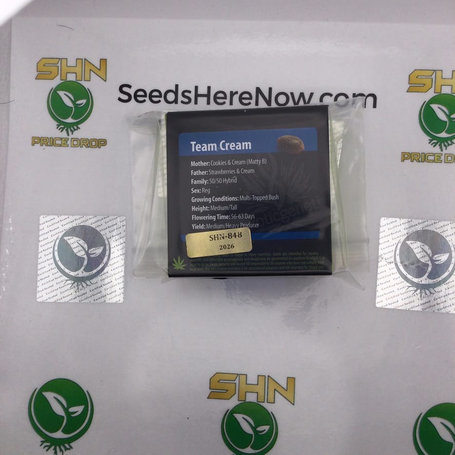 Team Cream (Regular) – Exotic Genetix | Vault Release