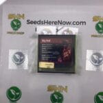 Big Red (Feminized) – Exotic Genetix | Vault Release