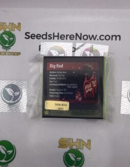 Big Red (Feminized) – Exotic Genetix | Vault Release