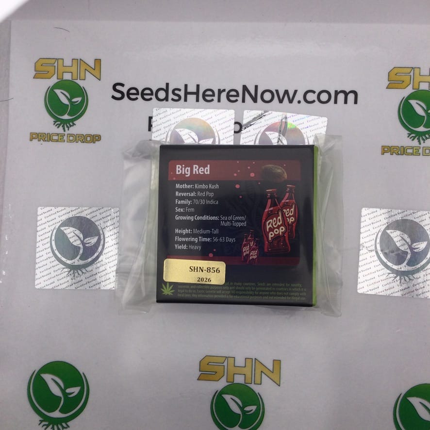 Big Red (Feminized) – Exotic Genetix | Vault Release