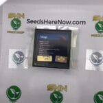 Trilogy (Regular) – Exotic Genetix | Vault Release