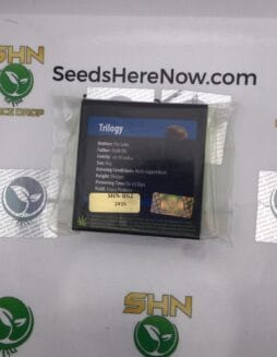 Trilogy (Regular) – Exotic Genetix | Vault Release