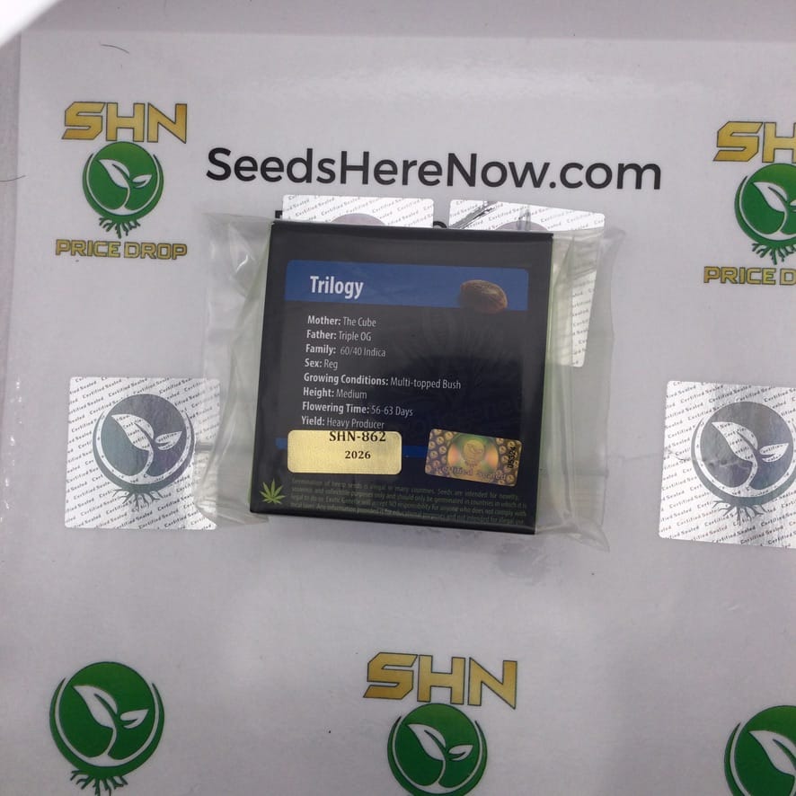 Trilogy (Regular) – Exotic Genetix | Vault Release