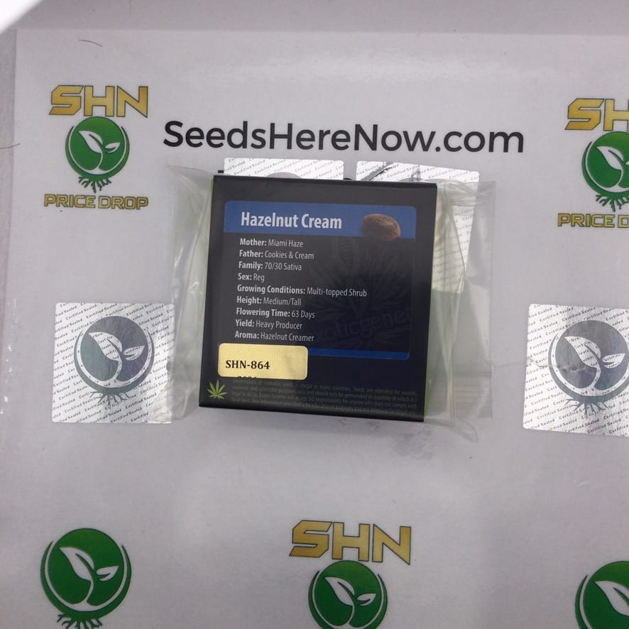 Hazelnut Cream (Regular) – Exotic Genetix | Vault Release