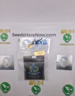 Starfighter IX2 (Regular) – Exotic Genetix | Vault Release