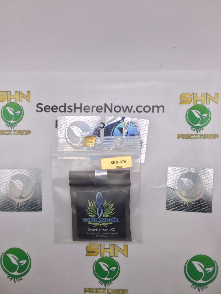 Starfighter IX2 (Regular) – Exotic Genetix | Vault Release