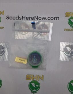 Too Cool (Regular) – Exotic Genetix | Vault Release