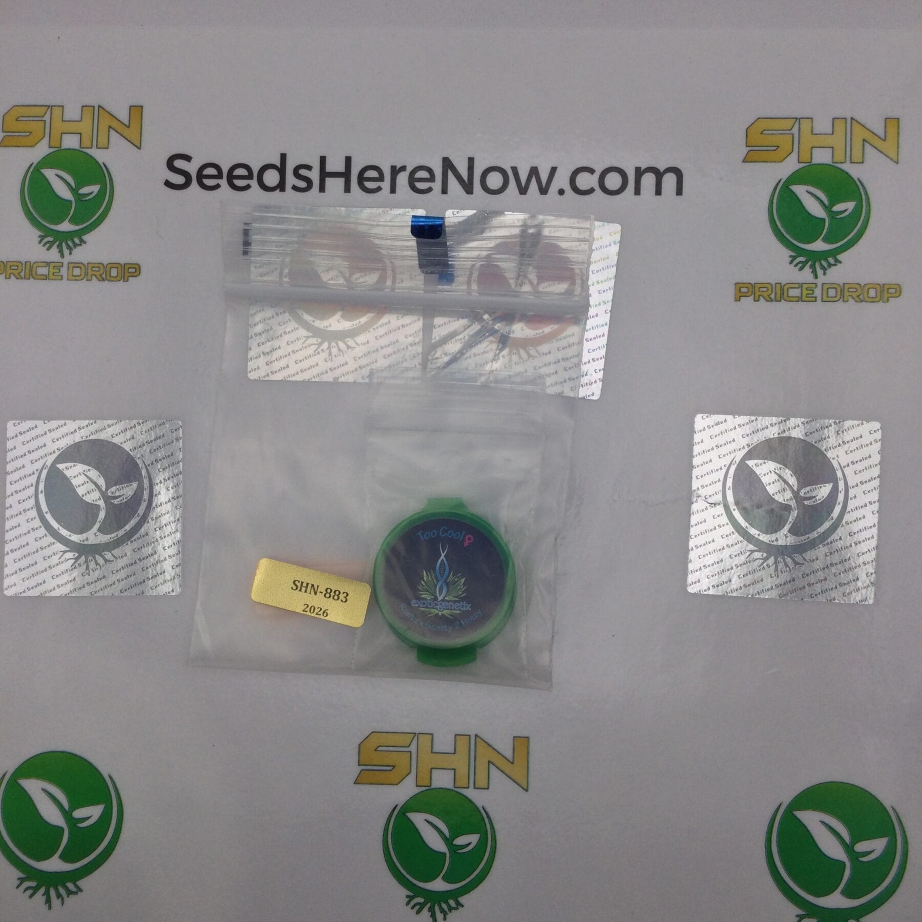 Too Cool (Regular) – Exotic Genetix | Vault Release