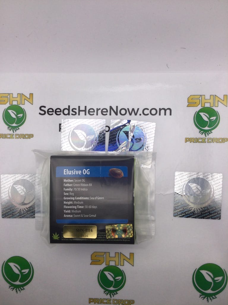 Elusive OG (Regular) – Exotic Genetix | Vault Release