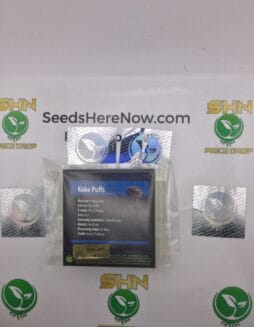 Koko Puffs (Regular) – Exotic Genetix | Vault Release