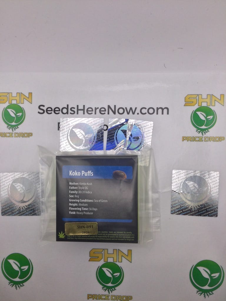 Koko Puffs (Regular) – Exotic Genetix | Vault Release