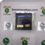 Jungle Fruit (Regular) – Exotic Genetix | Vault Release