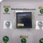 Irish Cannonball (Regular) – Exotic Genetix | Vault Release