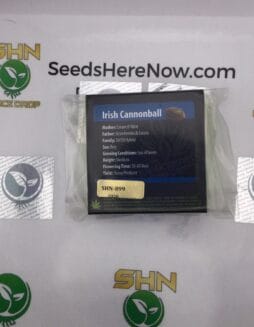 Irish Cannonball (Regular) – Exotic Genetix | Vault Release