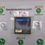 Intergalactic (Regular) – Exotic Genetix | Vault Release