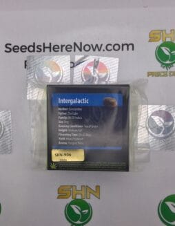 Intergalactic (Regular) – Exotic Genetix | Vault Release