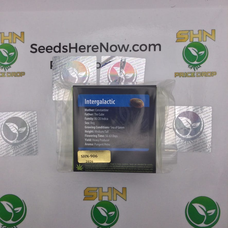 Intergalactic (Regular) – Exotic Genetix | Vault Release