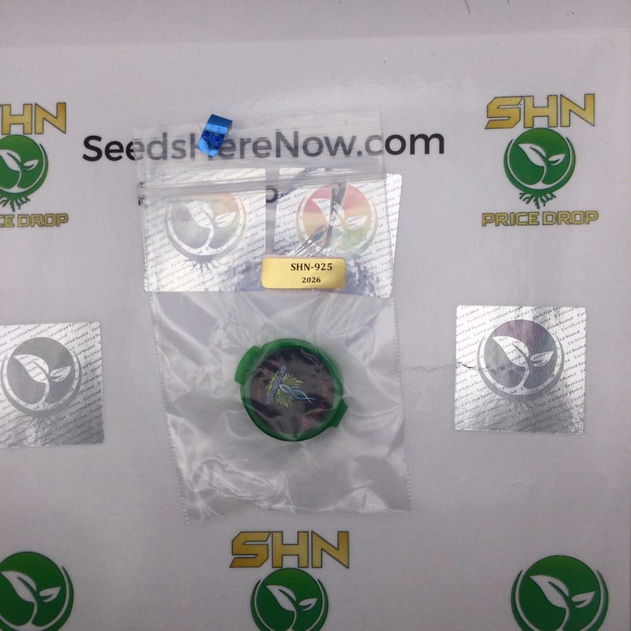 Velvet Heat (Regular) – Exotic Genetix | Vault Release