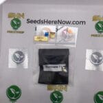 Slurricane F1 (Feminized) – Archive Seed Bank | Vault Release