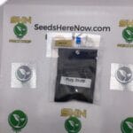 Purp Skurp (Regular) – Archive Seed Bank | Vault Release