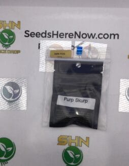 Purp Skurp (Regular) – Archive Seed Bank | Vault Release