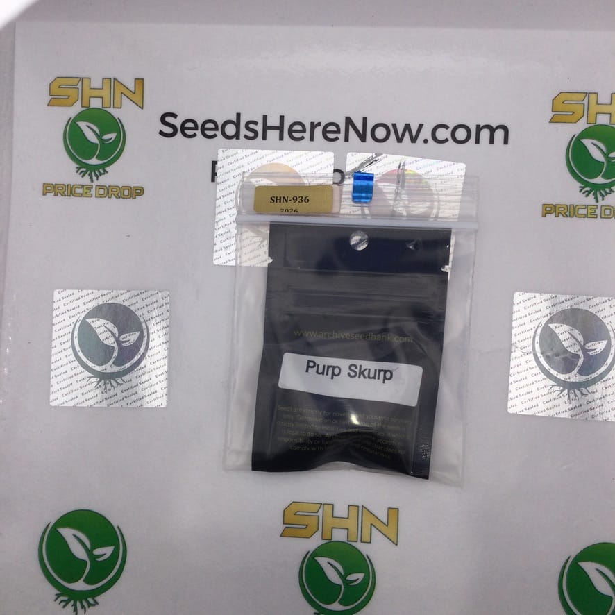 Purp Skurp (Regular) – Archive Seed Bank | Vault Release