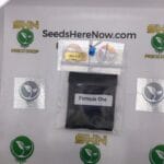 Formula One (Regular) – Archive Seed Bank | Vault Release