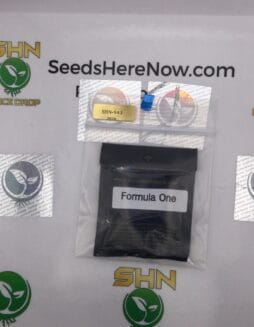 Formula One (Regular) – Archive Seed Bank | Vault Release