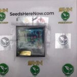 Slaphappy (Regular) – Exotic Genetix | Vault Release