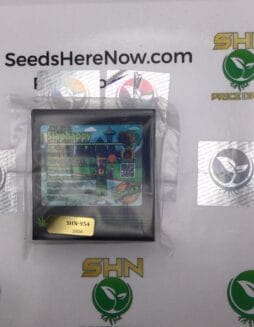 Slaphappy (Regular) – Exotic Genetix | Vault Release