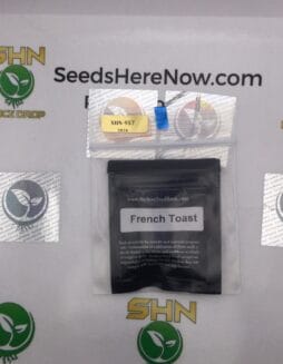French Toast (Regular) – Archive Seed Bank | Vault Release
