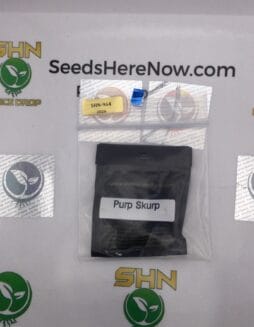 Purp Skurp (Feminized) – Archive Seed Bank | Vault Release