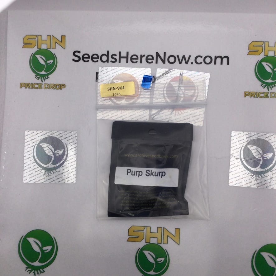 Purp Skurp (Feminized) – Archive Seed Bank | Vault Release