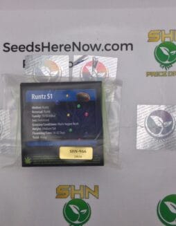 Runtz (Regular) – Exotic Genetix | Vault Release