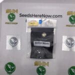 Junior Mints (Regular) – Archive Seed Bank | Vault Release