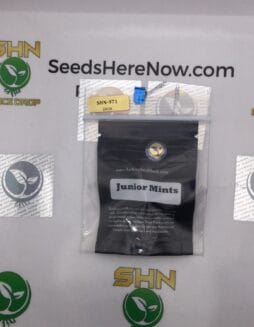 Junior Mints (Regular) – Archive Seed Bank | Vault Release