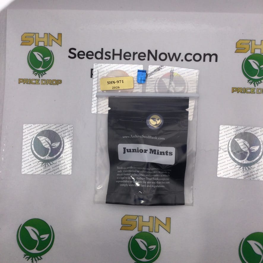 Junior Mints (Regular) – Archive Seed Bank | Vault Release