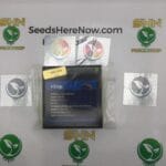 4 Kings (Regular) – Exotic Genetix | Vault Release