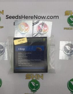 4 Kings (Regular) – Exotic Genetix | Vault Release