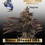 Sour Diesel IBL (Regular) - Katsu Seeds