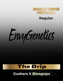 The Drip (Regular) (space) Envy Genetics