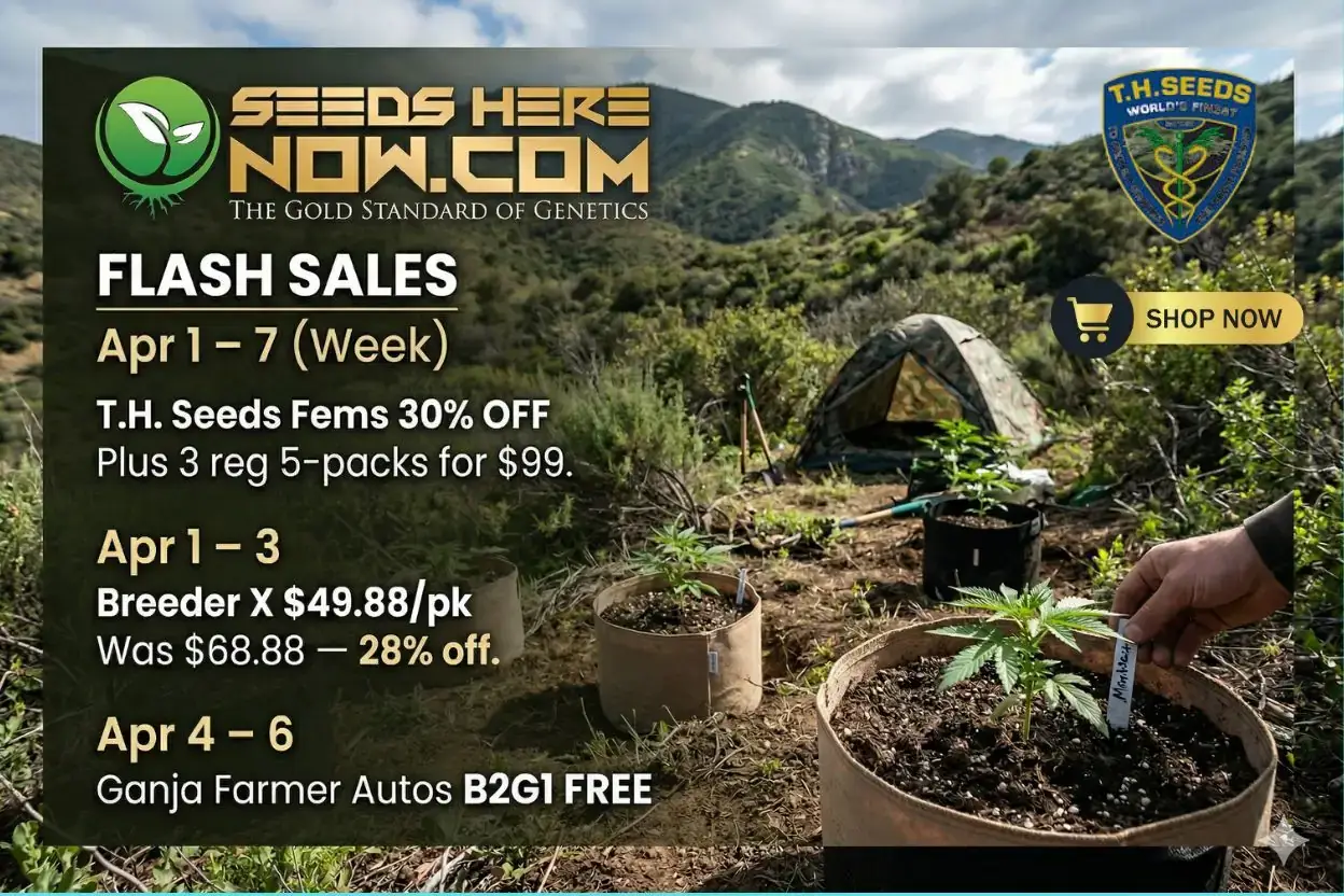 Autoflower Seeds Promotion