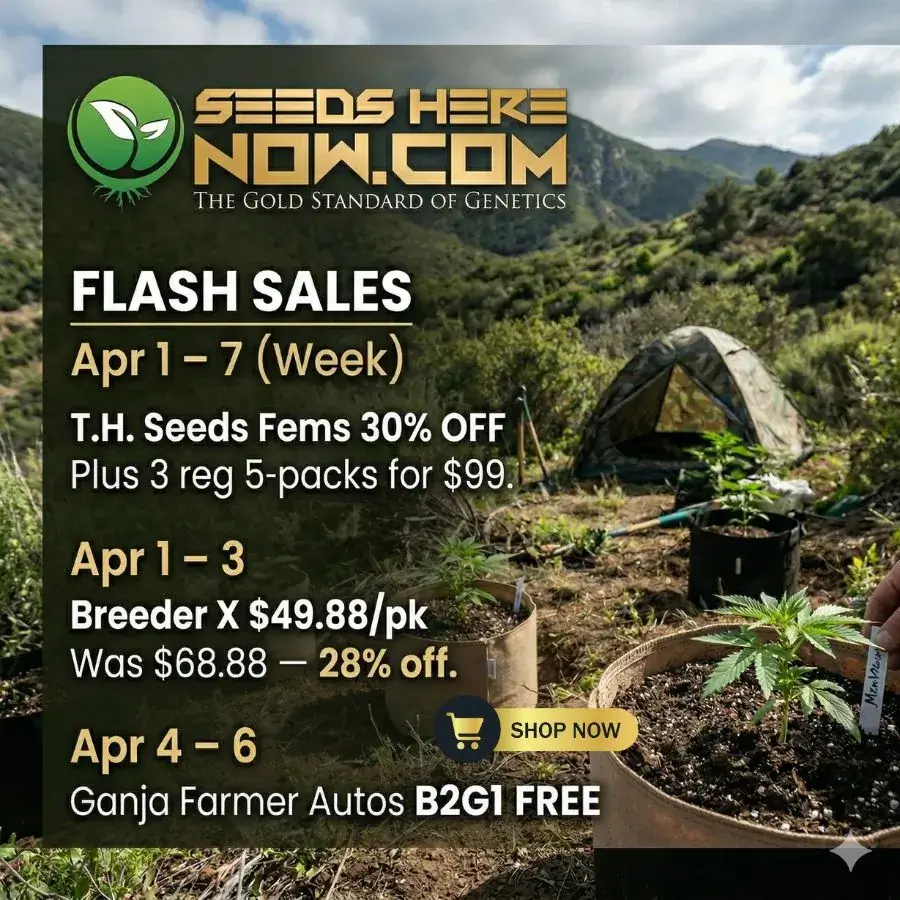 Autoflower Seeds Promotion